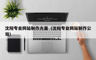汶上沈阳专业网站制作方案（沈阳专业网站制作公司）